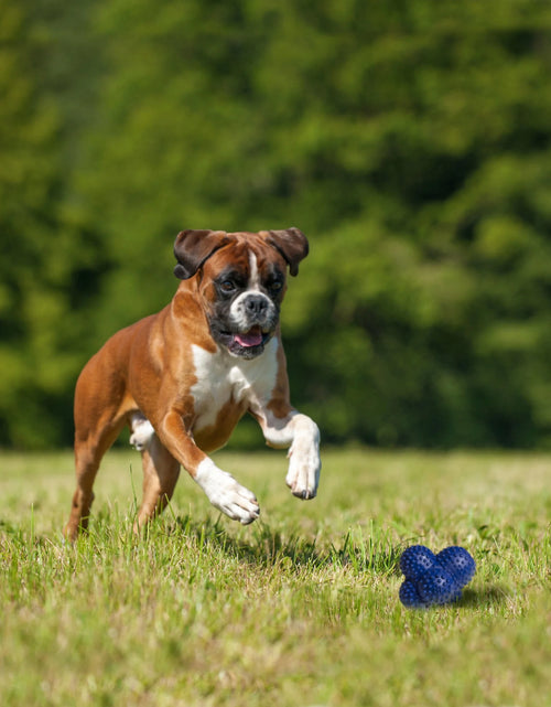 Load image into Gallery viewer, Power Play Crazy-Ball Dog Toy, Dog Balls, Interactive Dog Toys, Large
