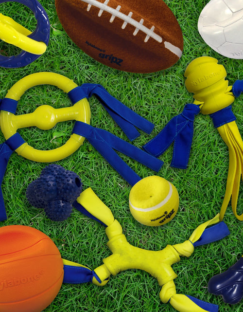 Load image into Gallery viewer, Power Play Crazy-Ball Dog Toy, Dog Balls, Interactive Dog Toys, Large
