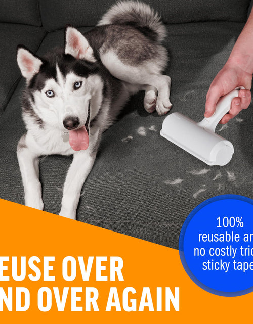 Load image into Gallery viewer, Chom Chom Roller Pet Hair Remover and Reusable Lint Roller - Chomchom Cat and Dog Hair Remover for Furniture, Couch, Carpet, Clothing and Bedding
