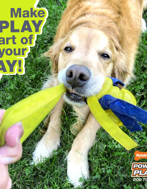 Load image into Gallery viewer, Power Play Crazy-Ball Dog Toy, Dog Balls, Interactive Dog Toys, Large
