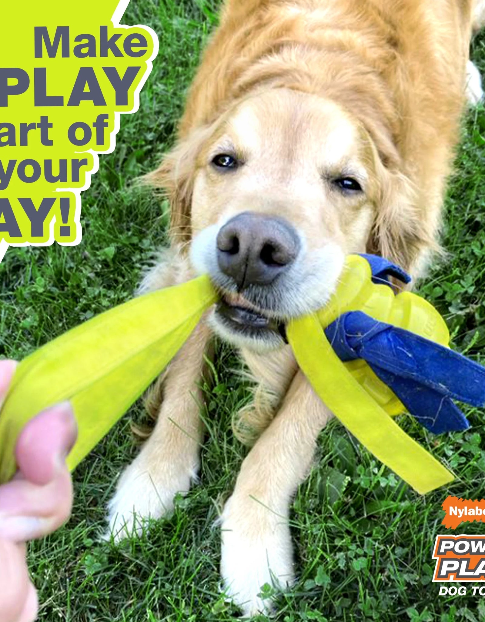 Power Play Crazy-Ball Dog Toy, Dog Balls, Interactive Dog Toys, Large